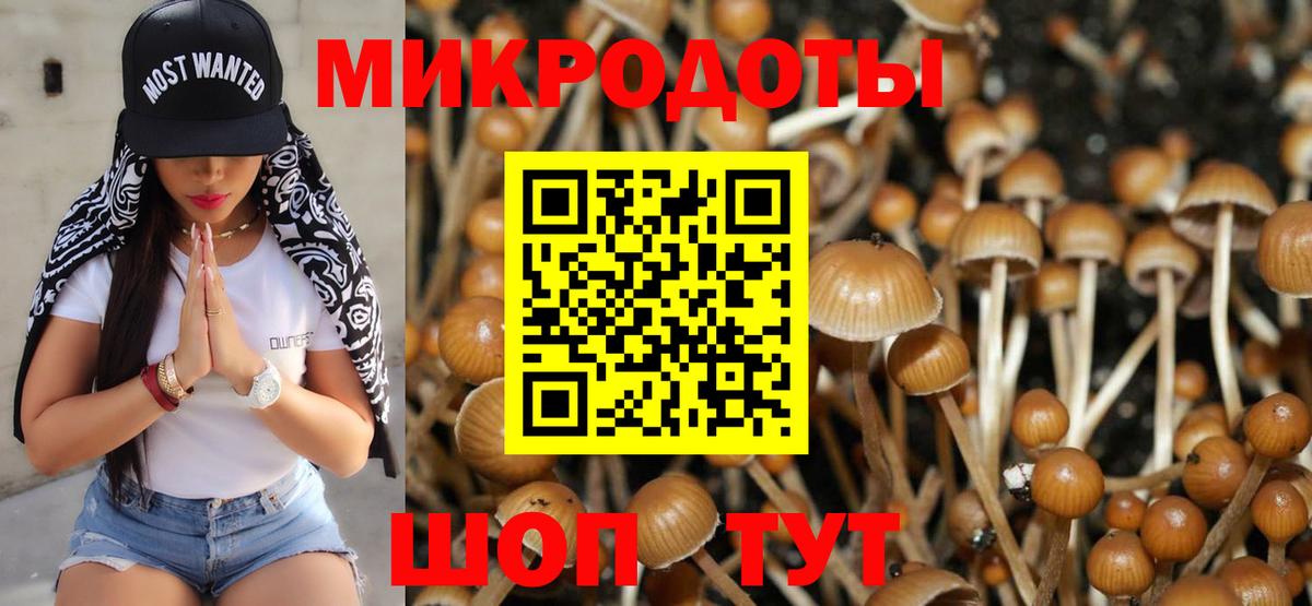 Псилоцибиновые грибы Cubensis  Вход с VPN  Корсаков 